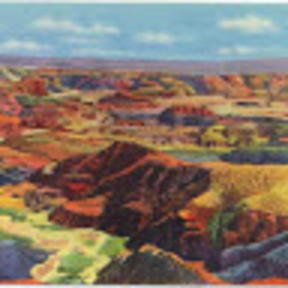 Meet your Posher, Rae - Picture 1 of 1